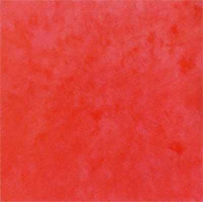 Domenica Laurenzana, senza titolo, 2005